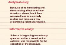 Essay – Bài tiểu luận là gì? Essay Bai tieu luan la gi