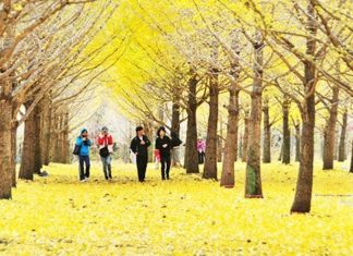 Hieu ve nguoi dan duong mua ne nay